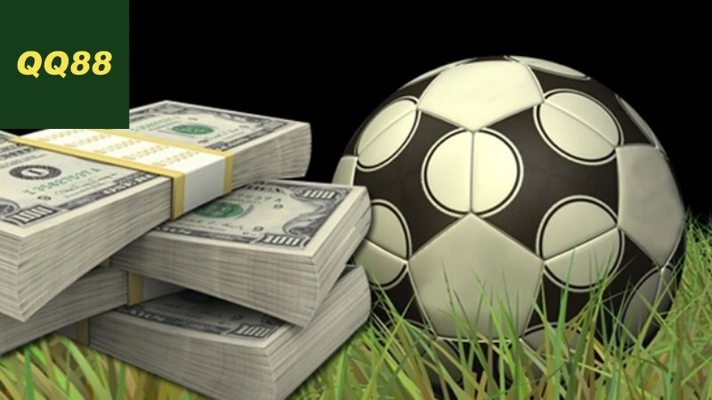 Giới thiệu về nền tảng QQ88