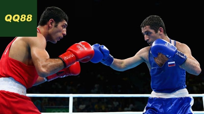 Hướng dẫn cơ bản về cá cược boxing