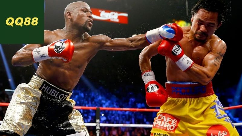 Chiến lược cá cược hiệu quả cho boxing