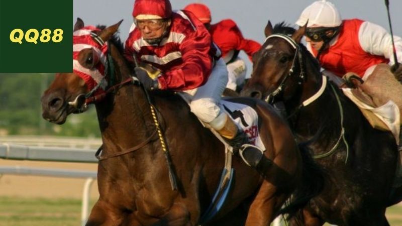 Mẹo và chiến lược cho người mới